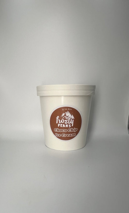 Choco Chip Ice Cream